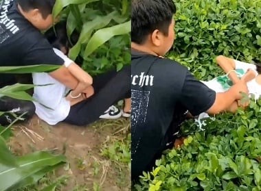 Hiếp dâm bạn học trên cánh đồng hấp dẫn
